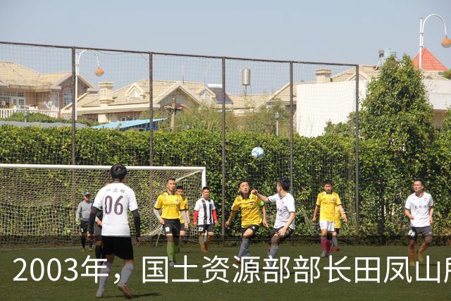 2003年，国土资源部部长田凤山所乘航班刚一落地，他迈出机舱，就被两名便衣拦住，并从其随身行李中查出一件物品